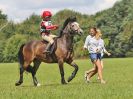 Image 167 in BECCLES AND BUNGAY RC. HUNTER TRIAL. 6 AUG. 2017