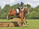 Image 173 in BECCLES AND BUNGAY RC. HUNTER TRIAL. 6 AUG. 2017