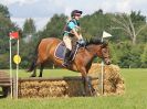 Image 179 in BECCLES AND BUNGAY RC. HUNTER TRIAL. 6 AUG. 2017