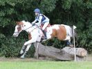 Image 226 in BECCLES AND BUNGAY RC. HUNTER TRIAL. 6 AUG. 2017