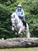 Image 228 in BECCLES AND BUNGAY RC. HUNTER TRIAL. 6 AUG. 2017