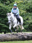 Image 229 in BECCLES AND BUNGAY RC. HUNTER TRIAL. 6 AUG. 2017
