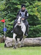 Image 249 in BECCLES AND BUNGAY RC. HUNTER TRIAL. 6 AUG. 2017