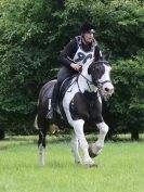 Image 250 in BECCLES AND BUNGAY RC. HUNTER TRIAL. 6 AUG. 2017