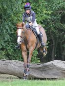 Image 263 in BECCLES AND BUNGAY RC. HUNTER TRIAL. 6 AUG. 2017