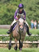 Image 271 in BECCLES AND BUNGAY RC. HUNTER TRIAL. 6 AUG. 2017