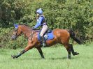 Image 313 in BECCLES AND BUNGAY RC. HUNTER TRIAL. 6 AUG. 2017