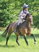 Image 323 in BECCLES AND BUNGAY RC. HUNTER TRIAL. 6 AUG. 2017