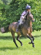 Image 324 in BECCLES AND BUNGAY RC. HUNTER TRIAL. 6 AUG. 2017