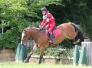 Image 374 in BECCLES AND BUNGAY RC. HUNTER TRIAL. 6 AUG. 2017