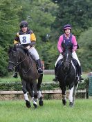 Image 5 in BECCLES AND BUNGAY RC. HUNTER TRIAL. 6 AUG. 2017