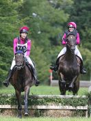 Image 8 in BECCLES AND BUNGAY RC. HUNTER TRIAL. 6 AUG. 2017