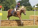 Image 85 in BECCLES AND BUNGAY RC. HUNTER TRIAL. 6 AUG. 2017