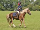 Image 88 in BECCLES AND BUNGAY RC. HUNTER TRIAL. 6 AUG. 2017