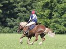 Image 89 in BECCLES AND BUNGAY RC. HUNTER TRIAL. 6 AUG. 2017