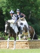 Image 90 in BECCLES AND BUNGAY RC. HUNTER TRIAL. 6 AUG. 2017