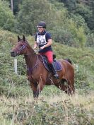Image 142 in IPSWICH HORSE SOCIETY. AUTUMN CHARITY RIDE. 3 SEPT. 2017