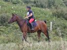 Image 143 in IPSWICH HORSE SOCIETY. AUTUMN CHARITY RIDE. 3 SEPT. 2017
