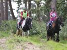 Image 145 in IPSWICH HORSE SOCIETY. AUTUMN CHARITY RIDE. 3 SEPT. 2017