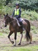 Image 157 in IPSWICH HORSE SOCIETY. AUTUMN CHARITY RIDE. 3 SEPT. 2017