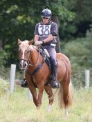 Image 172 in IPSWICH HORSE SOCIETY. AUTUMN CHARITY RIDE. 3 SEPT. 2017