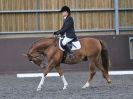 Image 100 in WORLD HORSE WELFARE. DRESSAGE. 9 SEPT. 2017