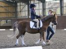 Image 2 in WORLD HORSE WELFARE. DRESSAGE. 9 SEPT. 2017