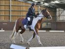 Image 26 in WORLD HORSE WELFARE. DRESSAGE. 9 SEPT. 2017