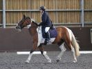 Image 27 in WORLD HORSE WELFARE. DRESSAGE. 9 SEPT. 2017