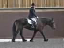 Image 48 in WORLD HORSE WELFARE. DRESSAGE. 9 SEPT. 2017