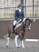 Image 76 in WORLD HORSE WELFARE. DRESSAGE. 9 SEPT. 2017