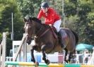 Image 10 in AYLSHAM SHOW 2013. SOME EQUESTRIAN PICTURES