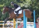 Image 101 in AYLSHAM SHOW 2013. SOME EQUESTRIAN PICTURES