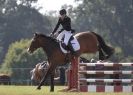 Image 13 in AYLSHAM SHOW 2013. SOME EQUESTRIAN PICTURES