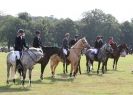 Image 14 in AYLSHAM SHOW 2013. SOME EQUESTRIAN PICTURES