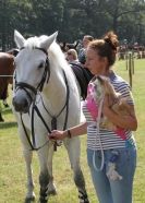 Image 16 in AYLSHAM SHOW 2013. SOME EQUESTRIAN PICTURES