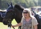 Image 18 in AYLSHAM SHOW 2013. SOME EQUESTRIAN PICTURES