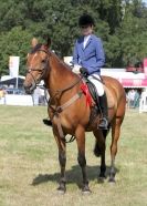 Image 2 in AYLSHAM SHOW 2013. SOME EQUESTRIAN PICTURES
