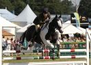 Image 28 in AYLSHAM SHOW 2013. SOME EQUESTRIAN PICTURES