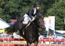 Image 29 in AYLSHAM SHOW 2013. SOME EQUESTRIAN PICTURES