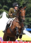 Image 33 in AYLSHAM SHOW 2013. SOME EQUESTRIAN PICTURES