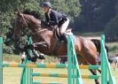 Image 34 in AYLSHAM SHOW 2013. SOME EQUESTRIAN PICTURES