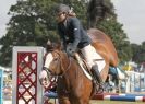 Image 36 in AYLSHAM SHOW 2013. SOME EQUESTRIAN PICTURES