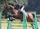 Image 38 in AYLSHAM SHOW 2013. SOME EQUESTRIAN PICTURES