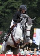 Image 39 in AYLSHAM SHOW 2013. SOME EQUESTRIAN PICTURES