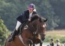 Image 4 in AYLSHAM SHOW 2013. SOME EQUESTRIAN PICTURES