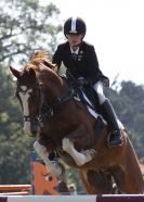 Image 40 in AYLSHAM SHOW 2013. SOME EQUESTRIAN PICTURES