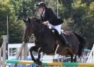 Image 41 in AYLSHAM SHOW 2013. SOME EQUESTRIAN PICTURES