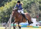 Image 43 in AYLSHAM SHOW 2013. SOME EQUESTRIAN PICTURES