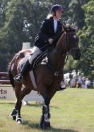 Image 44 in AYLSHAM SHOW 2013. SOME EQUESTRIAN PICTURES